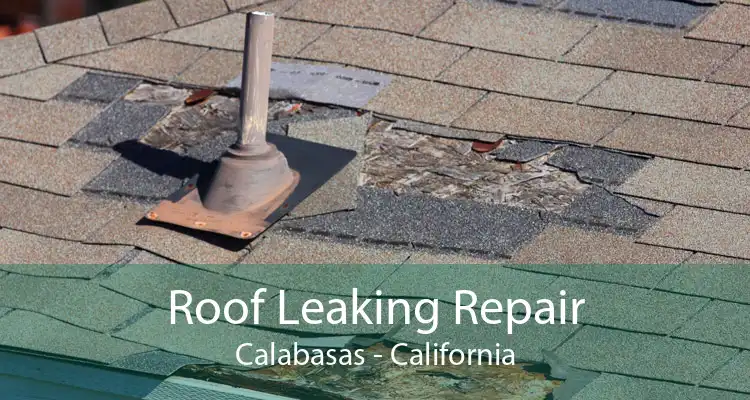 Roof Leaking Repair Calabasas - California