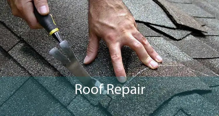 Roof Repair 